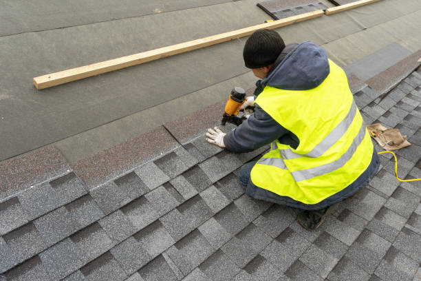 Best Roof Gutter Cleaning  in Bristol, IN