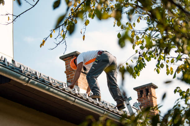 Best Metal Roofing Contractor  in Bristol, IN